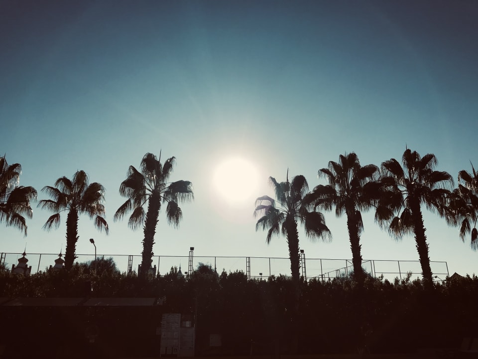 Pool Hane Family Resort