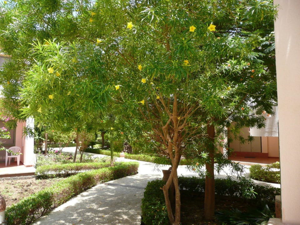 Fußweg Shams Alam Beach Resort