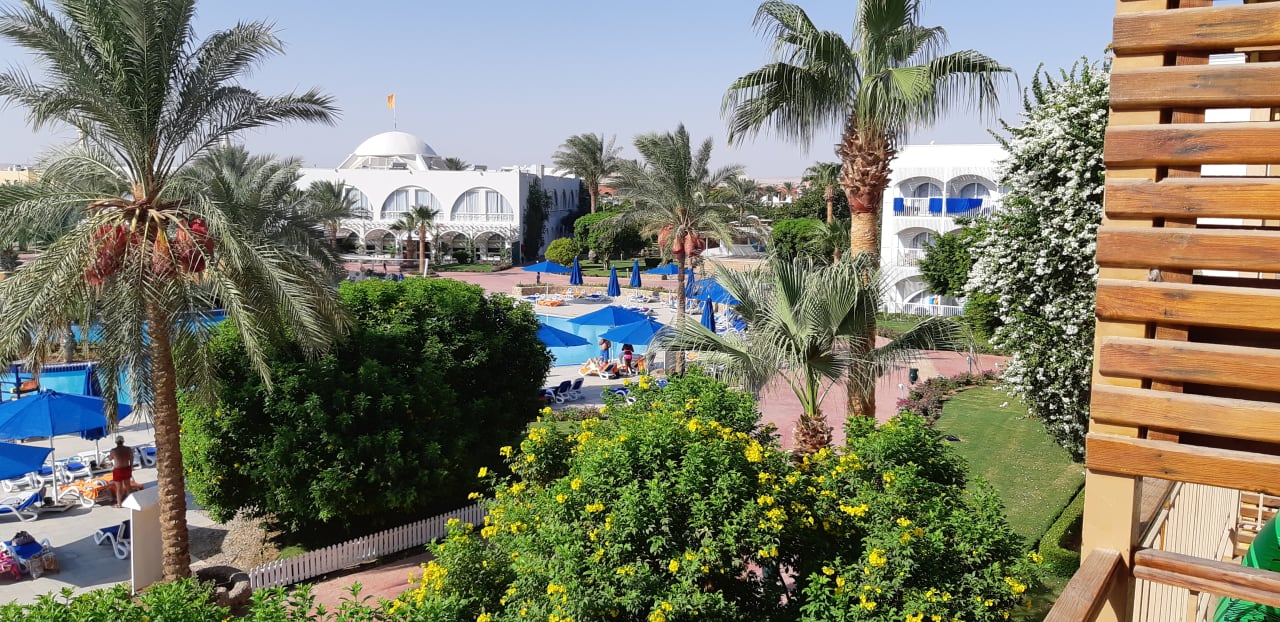 Ausblick  Desert Rose