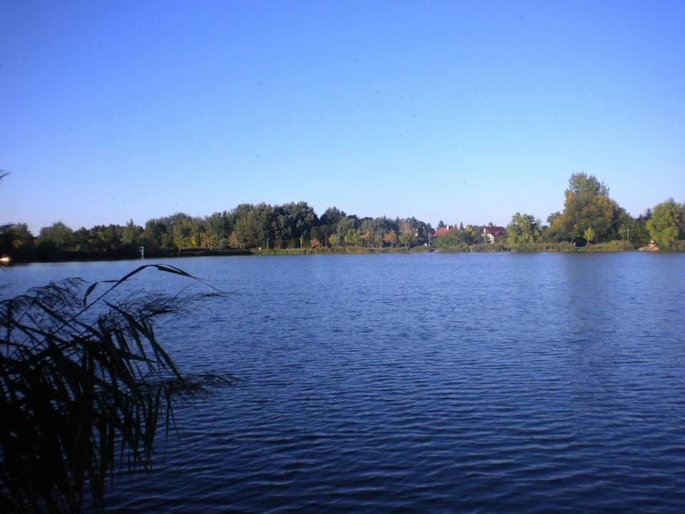 Lake Sástó Hotel Dzsungel