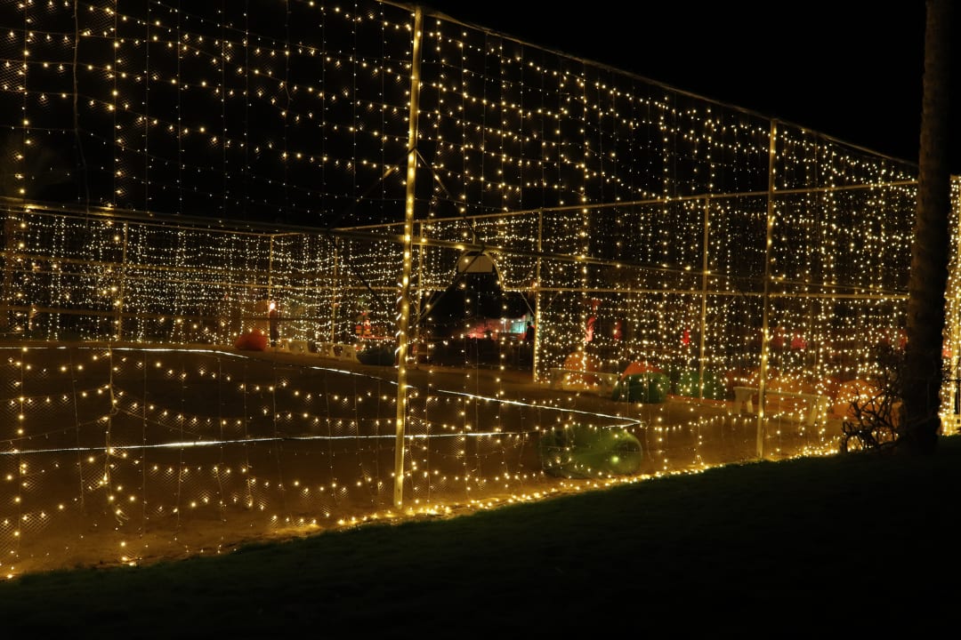 Sport & Freizeit Desert Rose