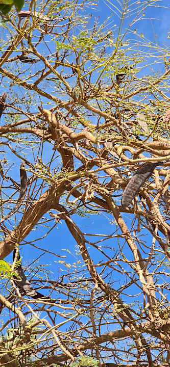 Sonstiges Stella Beach Resort & Spa Makadi Bay