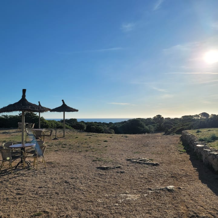Sonstiges Hipotels Hipocampo Playa