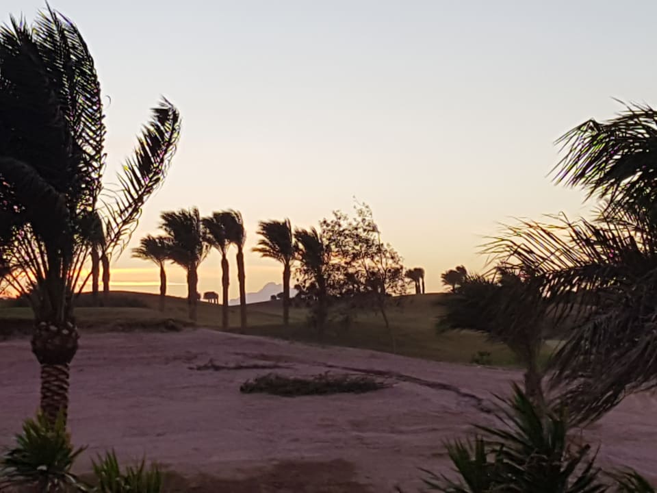 Vom Zimmer zum Golfplatz  Hotel JAZ Makadi Star & Spa