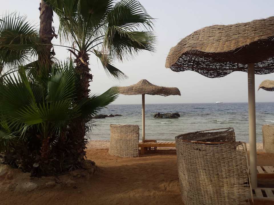 Strand Pickalbatros Citadel Resort