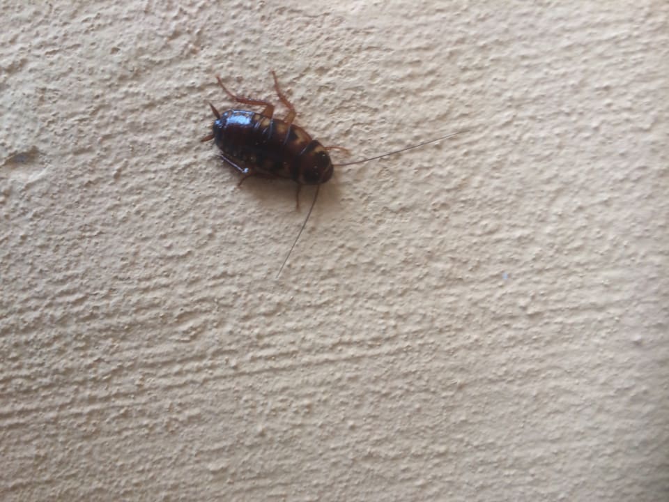 Zimmer Suites & Villas by Dunas