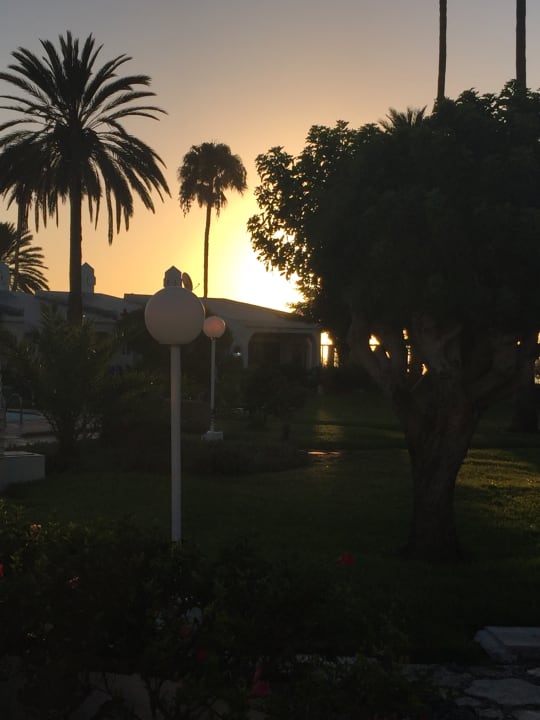 Gartenanlage Sahara Beach Club