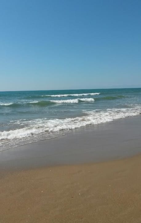 Traumstrand direkt hinter der Hotelanlage Paloma Oceana