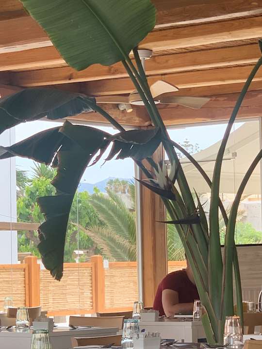 Gastro Paralos Lifestyle Beach