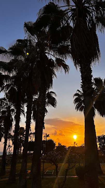 Gartenanlage Hotel Defne Garden