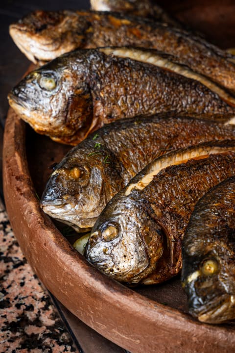 Gastro Adora Hotel & Resort