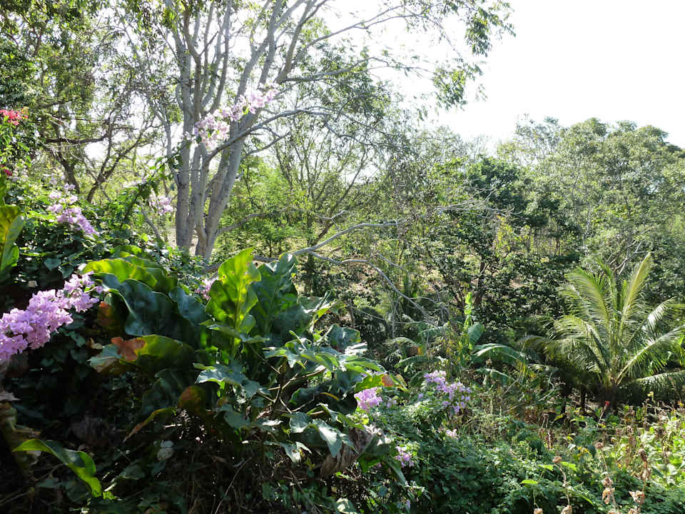 Gartenanlage                                        Albergue Ecológico El Porvenir