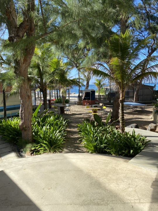 Gartenanlage Friday Attitude