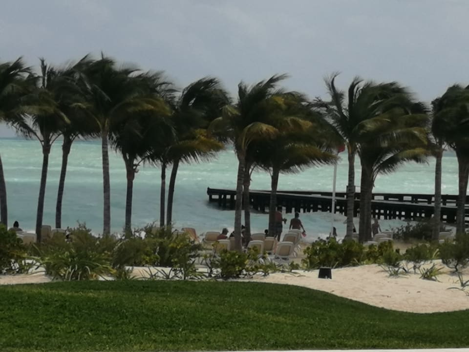 Ausblick Hotel Riu Dunamar