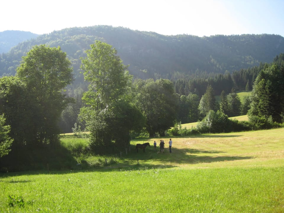 Pony füttern - Blick von der Terrasse Bio-Bauernhof Oberhochstätt