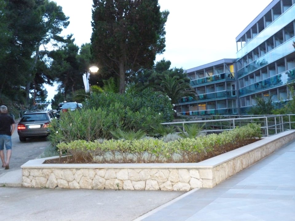 Auffahrt zum Hotel Hotel Aurora