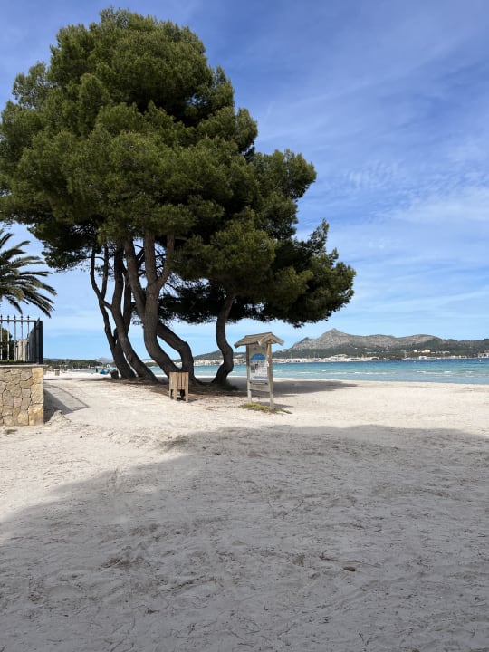 Strand allsun App.-Hotel Orquidea Playa