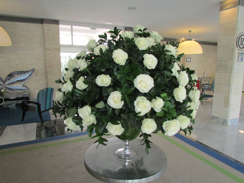 Rosen zum Empfang Bull Costa Canaria & Spa - Adults only