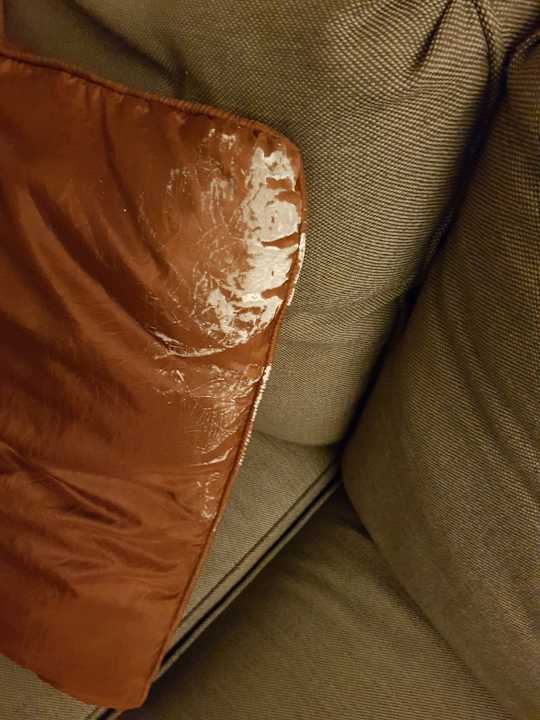 Zimmer Regal Oaks CLC World Resort