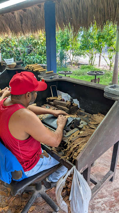 Ausblick Hotel Grand Palladium Palace Resort, Spa & Casino