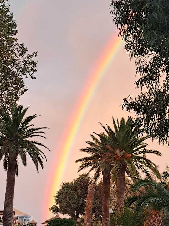 Ausblick Apollonia Beach Resort & Spa