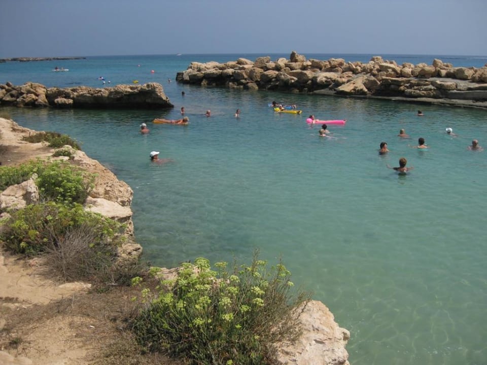 Vorne trüb, draußen klar Hotel Mimosa Beach