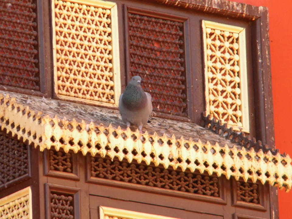 Скворечник Pickalbatros Alf Leila Wa Leila Resort - Neverland Hurghada