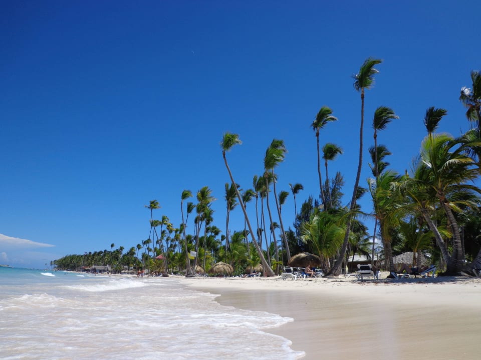 Hotel Grand Palladium Punta Cana Resort & Spa Grand Palladium Punta Cana Resort & Spa