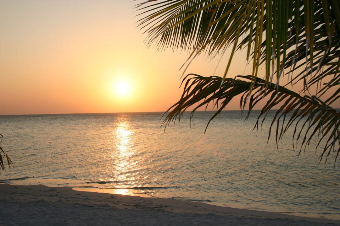 Sunset Summer Island Maldives