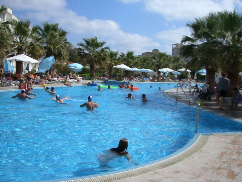 Pool allsun App.-Hotel Orient Beach