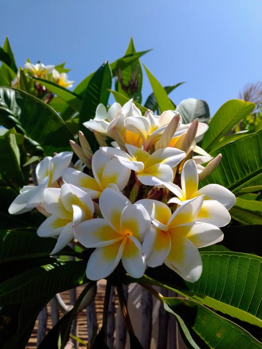 Außenansicht Jaz Dar EL Madina