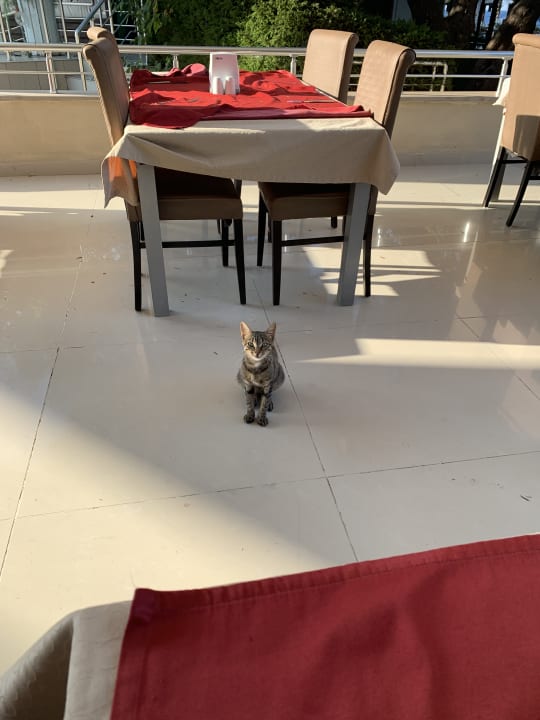 Gastro Latanya Park Resort