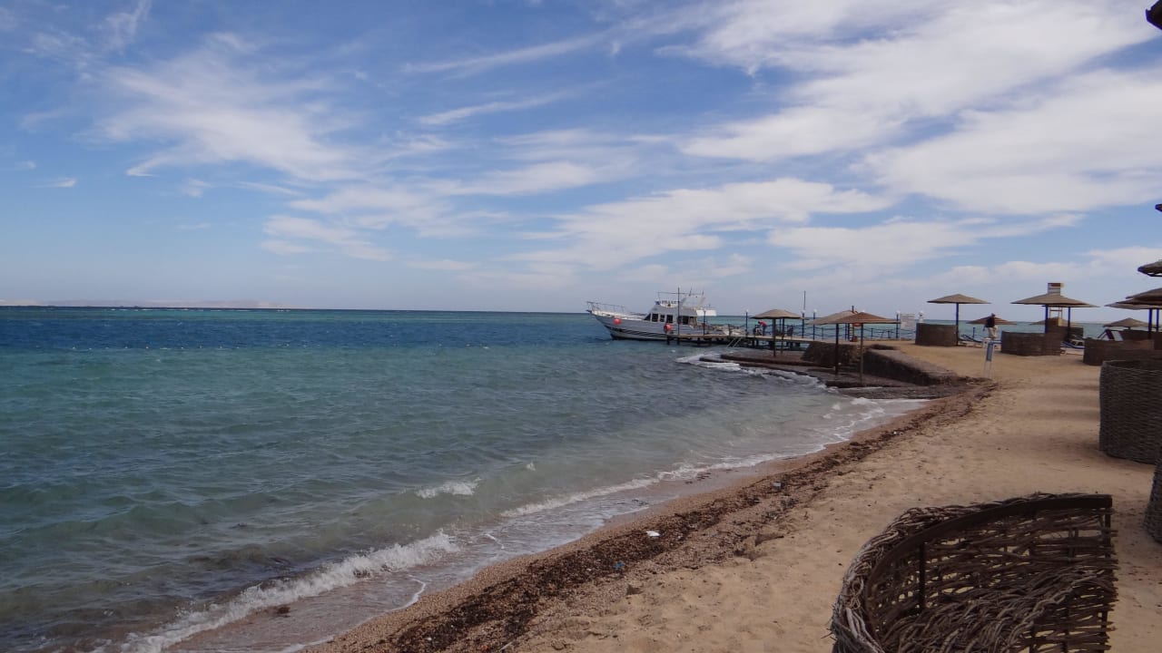 Leere Sea Star Beau Rivage