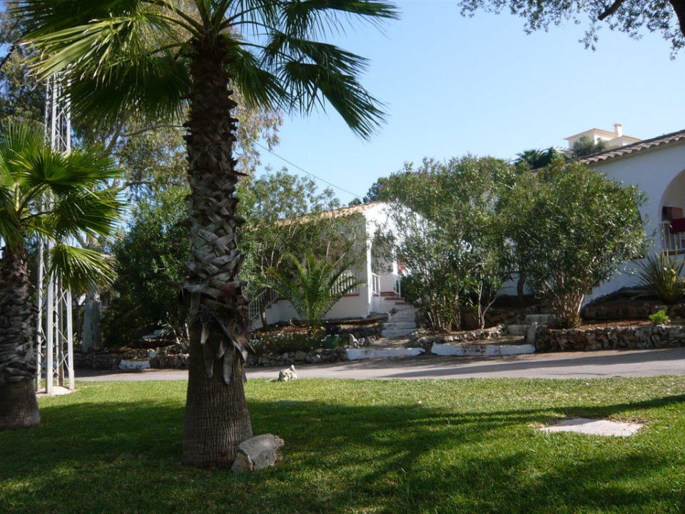 Garten Iberostar Waves Cala Domingos