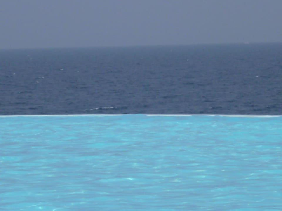 Perfekt und beheizt Pickalbatros Citadel Resort