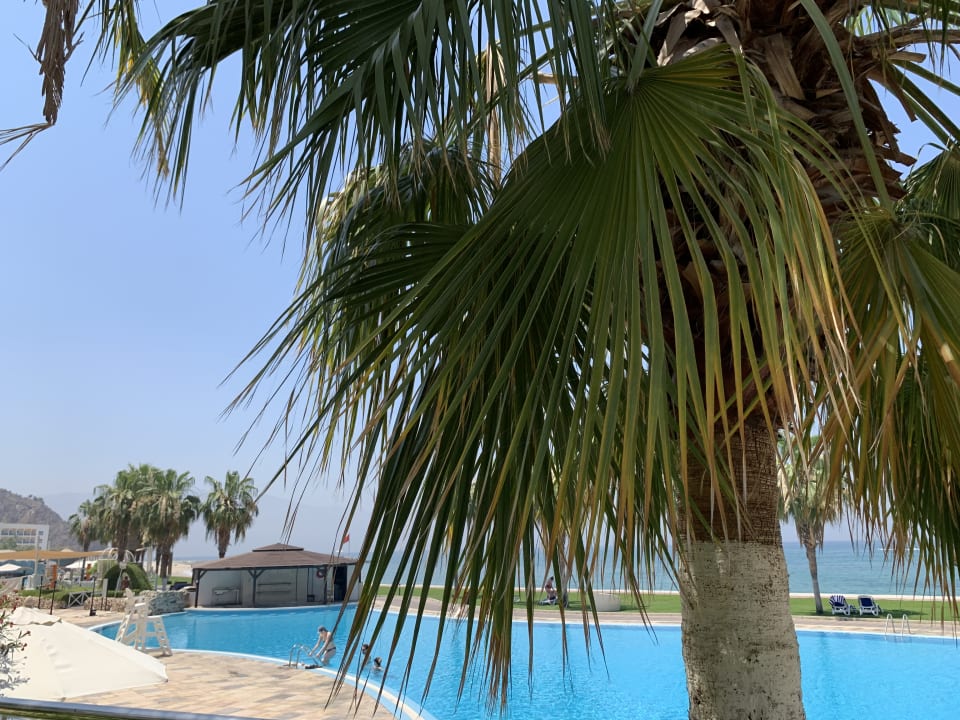 Pool Radisson Blu Resort Fujairah