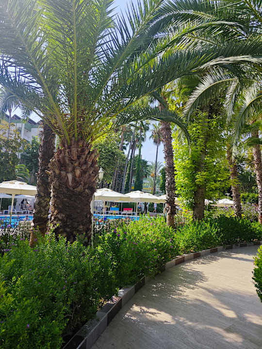 Gartenanlage Hotel Botanik Platinum