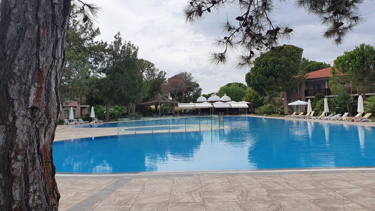 Pool Xanadu Resort Hotel