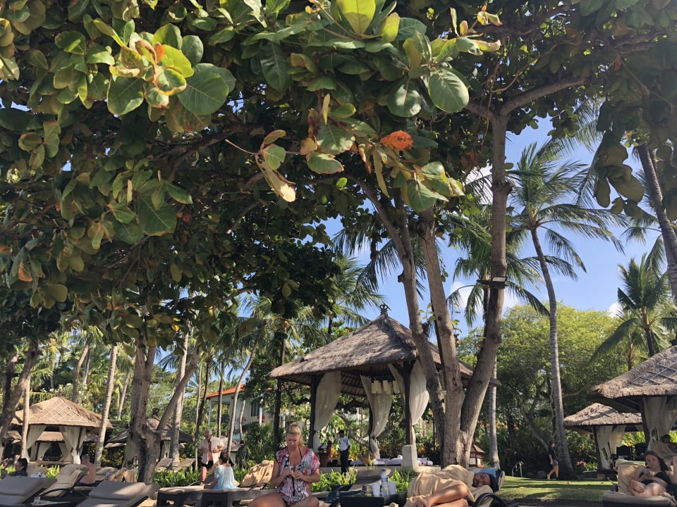 Gartenanlage The Laguna A Luxury Collection Resort & Spa