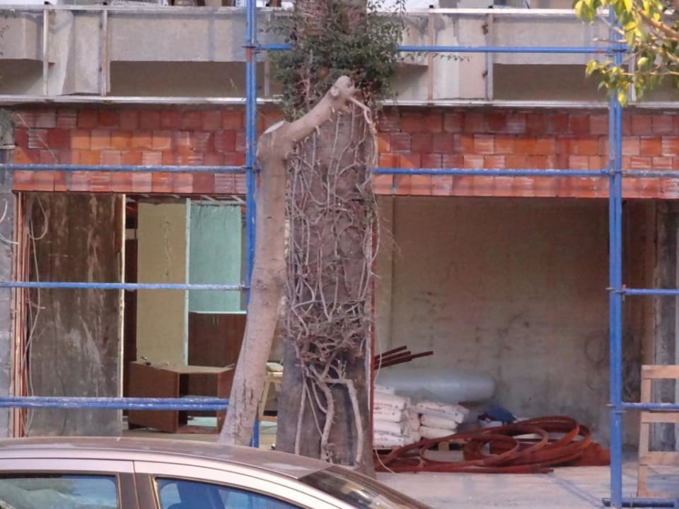 19.02.2012: Erdgeschoß (früher Aufenthalt/Bar) Gardenia Hotel