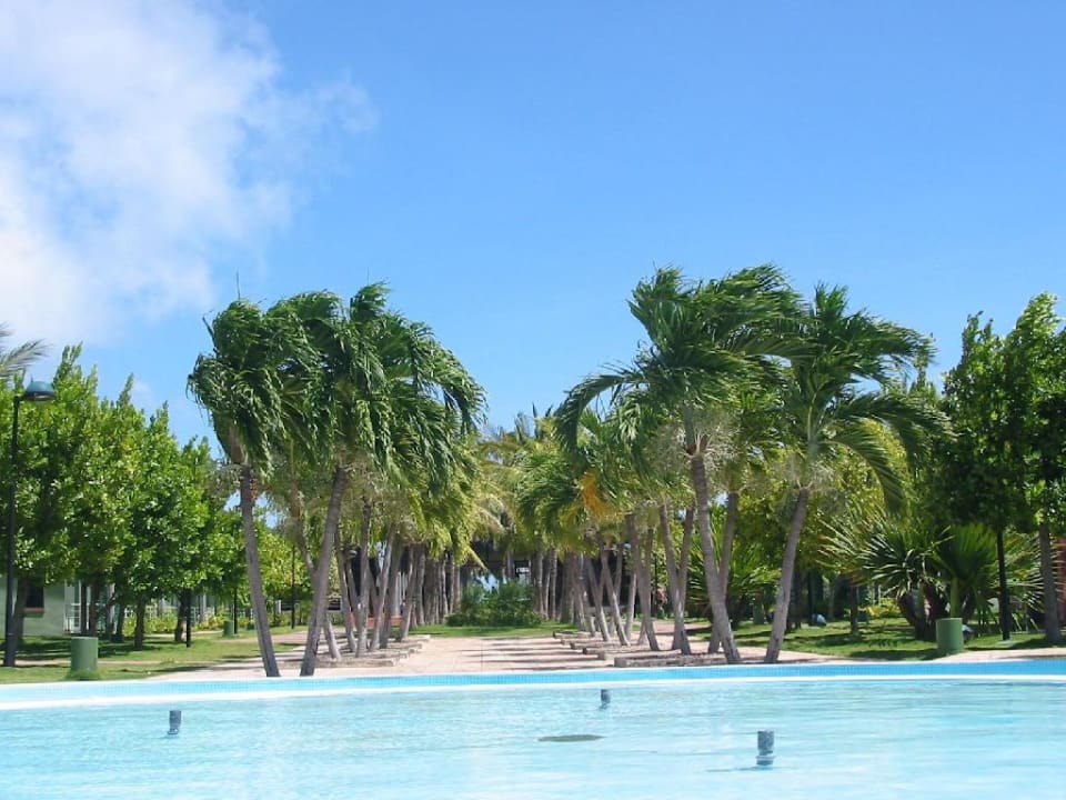 Pool Sol Hicacos Varadero