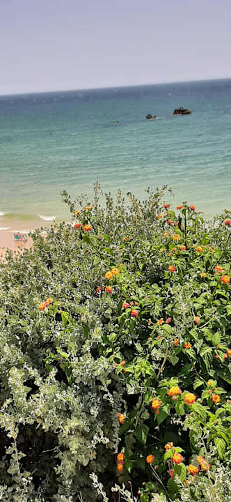 Ausblick Hipotels Flamenco Conil