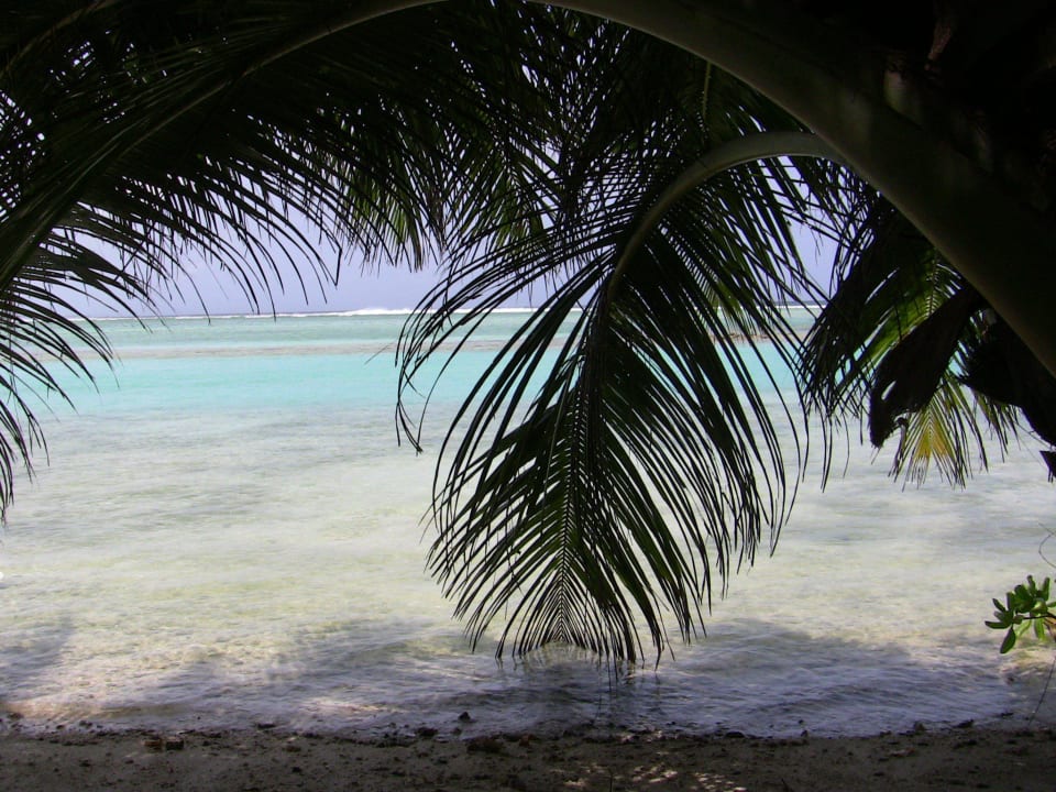 Unser Strand direkt vor dem Bungi 225 Adaaran Select Hudhuran Fushi - Premium All Inclusive