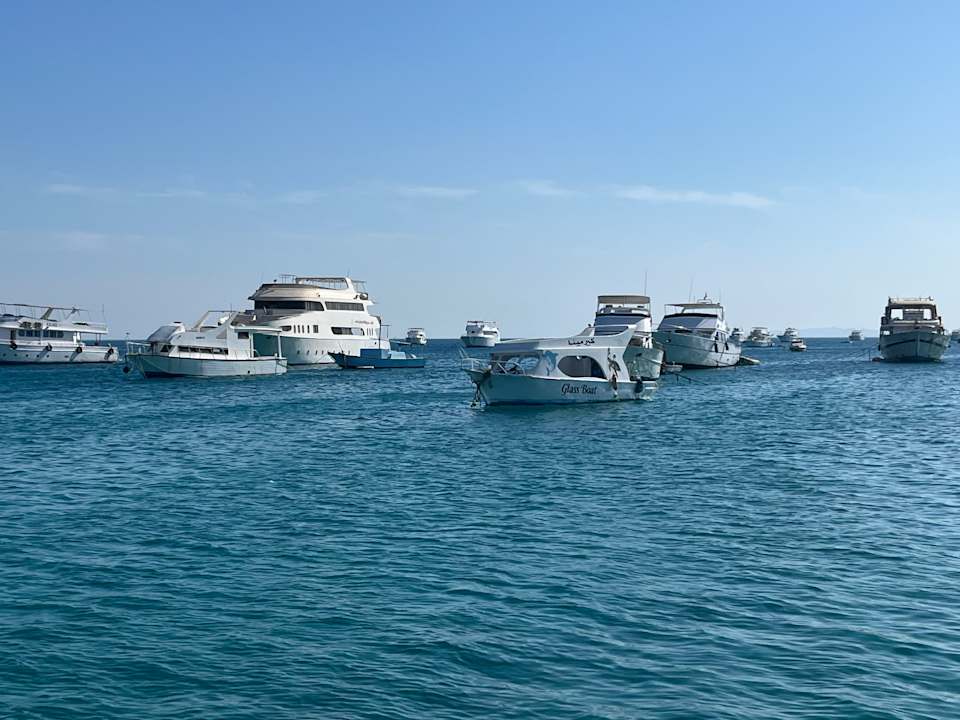 Pool Pickalbatros Blu Spa Resort