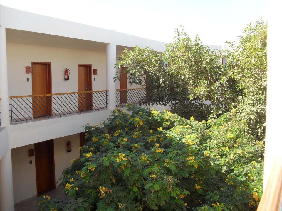 Wygląd zewnętrzny Parrotel Beach Resort