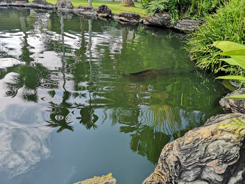 Gartenanlage Jurassic Mountain Resort & Fishing Park