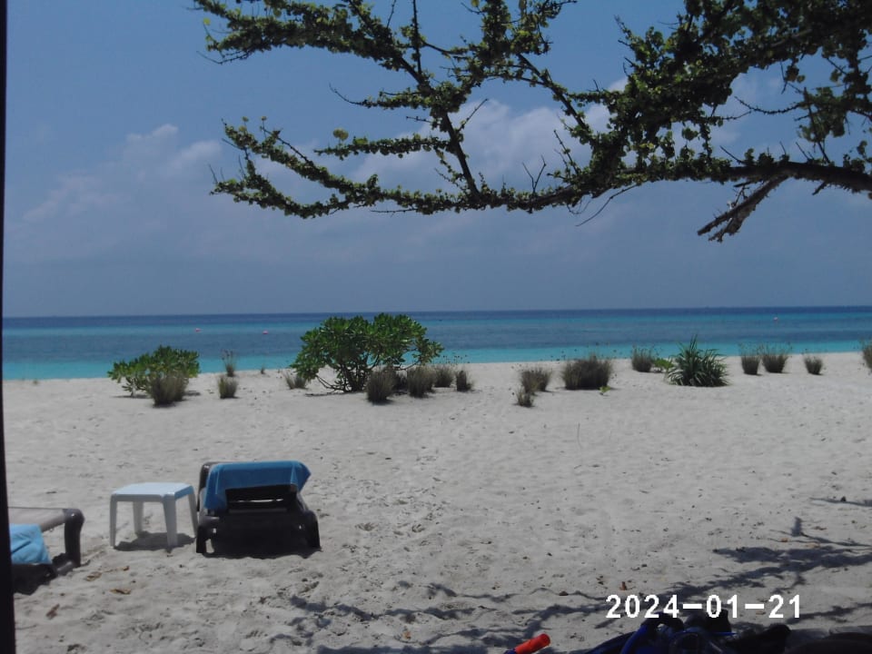 Aussicht vom Zimmer Kuredu Island Resort & Spa