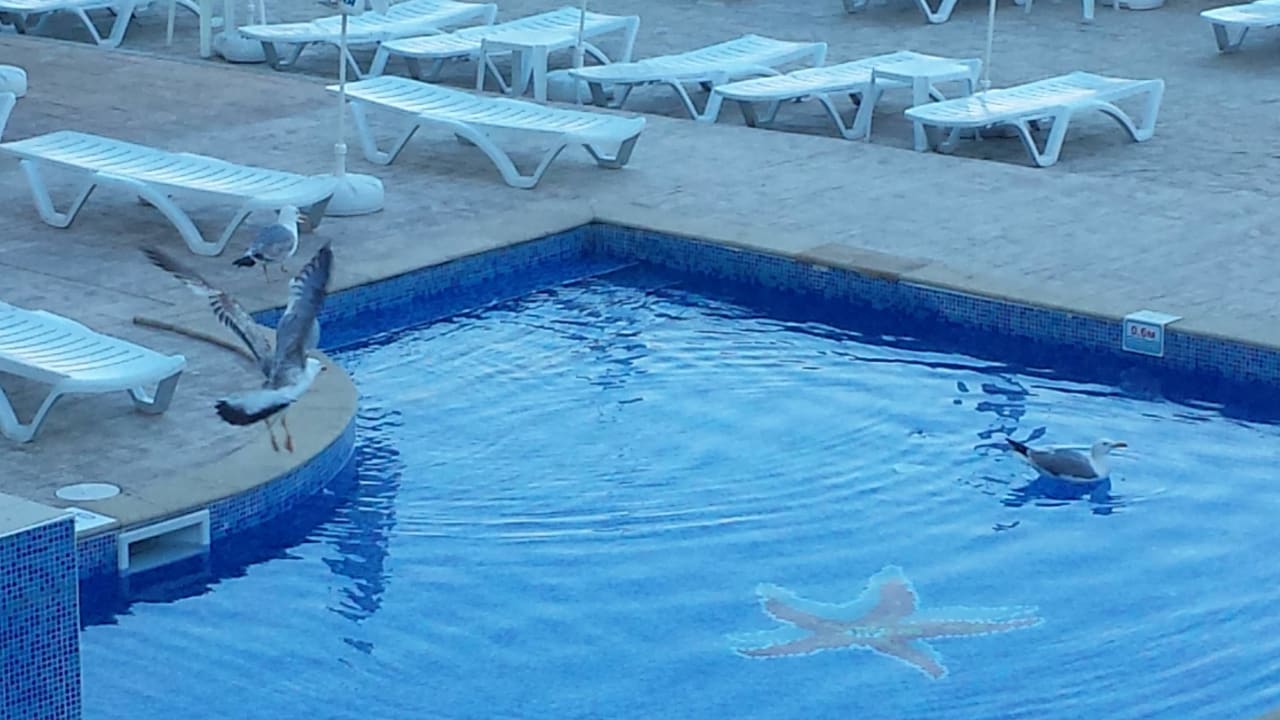 Pool Hotel Bilyana Beach