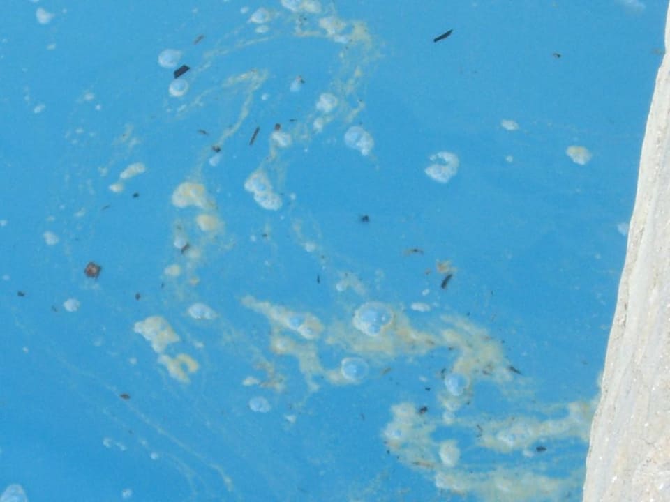 Sauberer Pool Monachus Family Resort Sorgun