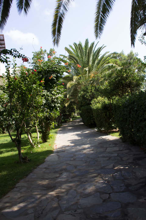 Weg zum Strand Apollonia Beach Resort & Spa